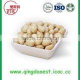 Blanched Good Quality Peanut Kernel in Long and Round Type thumbnail-1