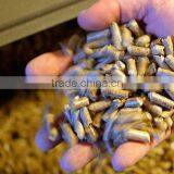 BIOMASS EN Plus-A1 PINE WOOD PELLETS thumbnail-1