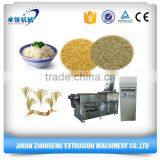 Seller Artifical Nutritional Rice Making Machines
