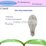 250w MH Lamps thumbnail-1