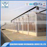 China Supplier Agricultural Multi Span Polycarbonate Greenhouse thumbnail-4