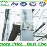 Metal Structure Greenhouse thumbnail-6