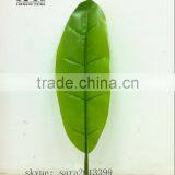 Monstera Leaves,dried Banana Leaf ,foliage Tree Leaves Decoration thumbnail-3