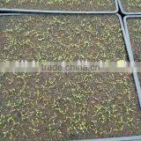 OEM Design Thermoformed Agricultural Plastic Pallets thumbnail-1