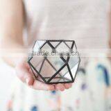 Gardening Gift Cuboctahedron Cactus Planter Geometric Glass Terrarium thumbnail-5