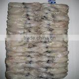 Frozen Baby Loligo Squid thumbnail-3