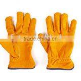 Orange Cow Grain Leather Driver Glove thumbnail-1