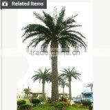 Artificial Palm Tree for Outdoor and Indoor Decoration thumbnail-6