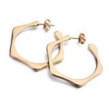 18k Gold Plated Earring