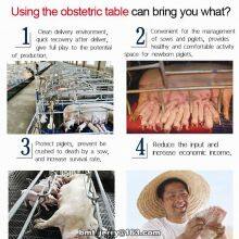 Farrowing Crates for Pig Farm Certified Pig Equipment for Sow thumbnail-3