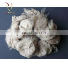 Dehaired Goat Raw Cashmere Wool Fiber thumbnail-3