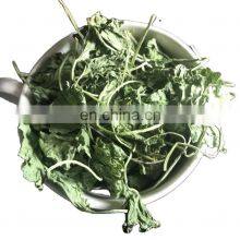Best Price Centella Leaf/Good Quality Gotu Kola Leaves From Vietnam