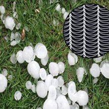 Anti Hail Net for Protection Greenhouse / White Anit Hail Net thumbnail-4
