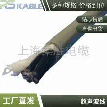 Roosen Cable Clinometer Probe Data Line 4 Core *0.2/0.25/0.3/0.35 Clinometer Line Welcome Phone With Durability and High Precision thumbnail-5