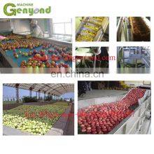 Stainless Steel Fruit Juicer Production Line / Spiral Fruit Juice Extractor thumbnail-3