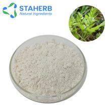 Plant Extract Dihydromyricetin DHM Powder 98% Vine Tea Extract Ampelopsis Grossedentata Leaf Extract Cas Number 27200-12-0 thumbnail-4