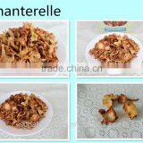 2016 Dried Chanterelles Best Price Best Quality From Yunnan ,China thumbnail-1