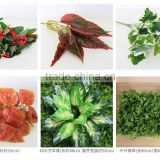 New Product artificla samll plants artificial foliage