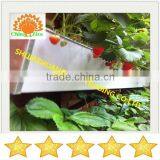 Agricultural Equipment Plant Stand in Greenhouse thumbnail-1