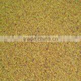 High Quality Alfalfa Seeds With Competitive Price thumbnail-2
