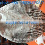 Wholesale Plastic Wing Hunting Decoy Goose Hunting Decoys