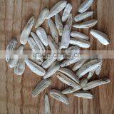 Roasted Sunflower Seeds With Varied Type and High Quality