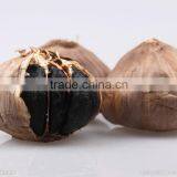 Black Garlic thumbnail-2