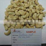 VIETNAM CASHEW NUT GOOD PRICE W320 (SKYPE: VISIMEX09) thumbnail-1