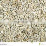 Sunflower Kernels Sunflower Seeds Kernels thumbnail-6
