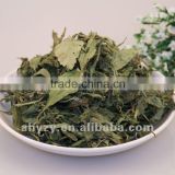 Dried Stevia Rebaudiana Tianyeju