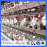Canton Fair Chicken Layer Cage and Poultry Equipment Supplier Manufacturer (Guangzhou Factory) thumbnail-6