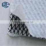 Composite Drainage Geonet/Geocomposite Drain