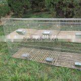 Rabbit Farming Cage/rabbit Breeding Cages/commercial Rabbit Cages thumbnail-2