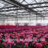 Garden Greenhouse For Flowers thumbnail-1