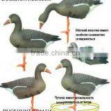 Greylag Goose Decoys, Greylag, Hunting Goosey.Canada Goose thumbnail-3