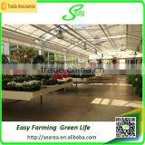 Low Cost Whole Sale Commercial Greenhouses thumbnail-5