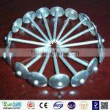 Twisted Shank Galvanized Umbrella Head Roofing Nail ( 2 -1/2" x 9mm ) With Plastic Washer Boa Sorte Trade Ssurance Sinolink thumbnail-6