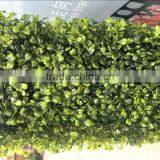 Artificial Boxwood Hedge for Sale thumbnail-4