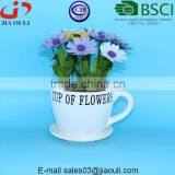 Cup of Flowers With Saucer Ceramic Cup Flower Pot thumbnail-5