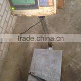 Sea Frozen Pacific Mackerel thumbnail-4