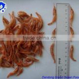 dried shrimps,headless