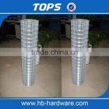 Galvanized Welded Wire Mesh Price thumbnail-5