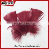 Colorful Dyed Craft Wing Bright Easter Party Down Feathers for Sale Cheap thumbnail-2