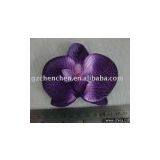 Orchid Flower thumbnail-1