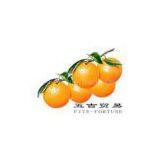 Ningbo Five-Fortune Trade Co.,Ltd