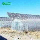 Customized High Quality&Commercial Hoop Greenhouse With Low Price thumbnail-3
