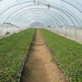 LANDON Seed Trays company overview - view 2 thumbnail