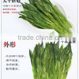 Taipinghoukui Fragrance Tea,New Green Tea Chinese Famous Premium Tea