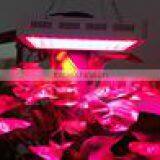 Best Full Spectrum LED GROW LIGHT 2016 thumbnail-2