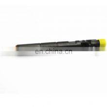 Genuine Diesel Injector EJBR05301D Common Rail Injector F50001112100011,EJBR06101D,R05301D,06101D